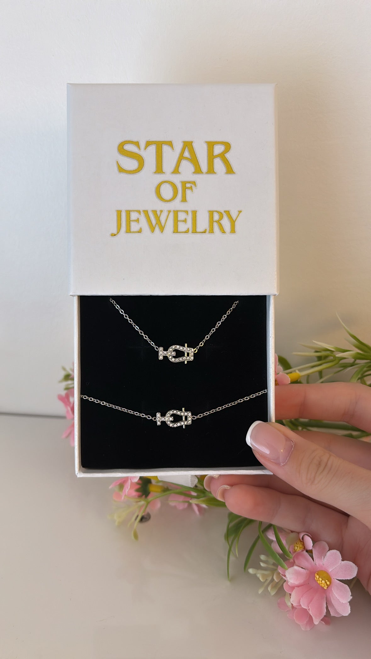 Coffret Fredesia Silver