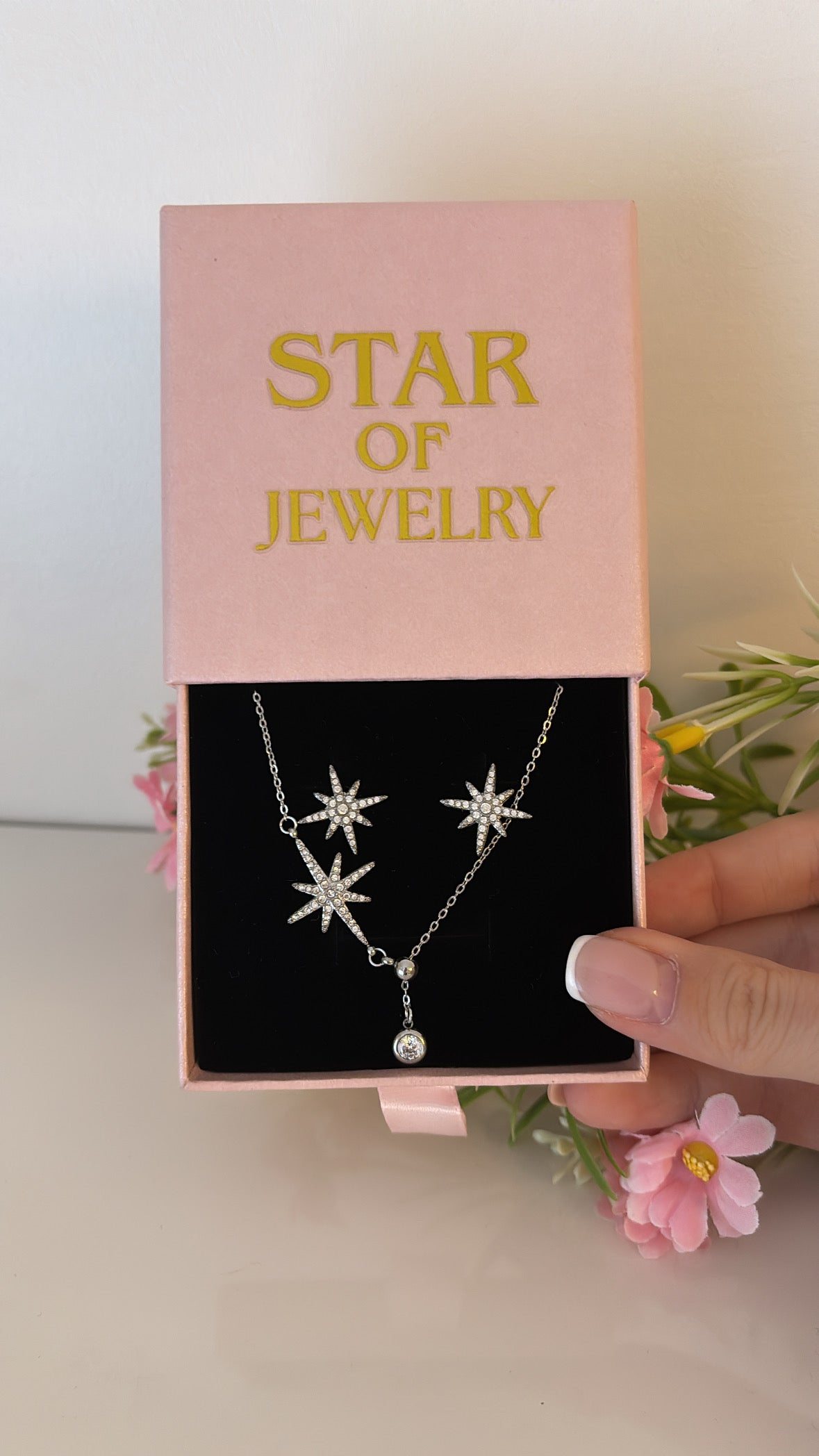 Coffret Shiny Silver