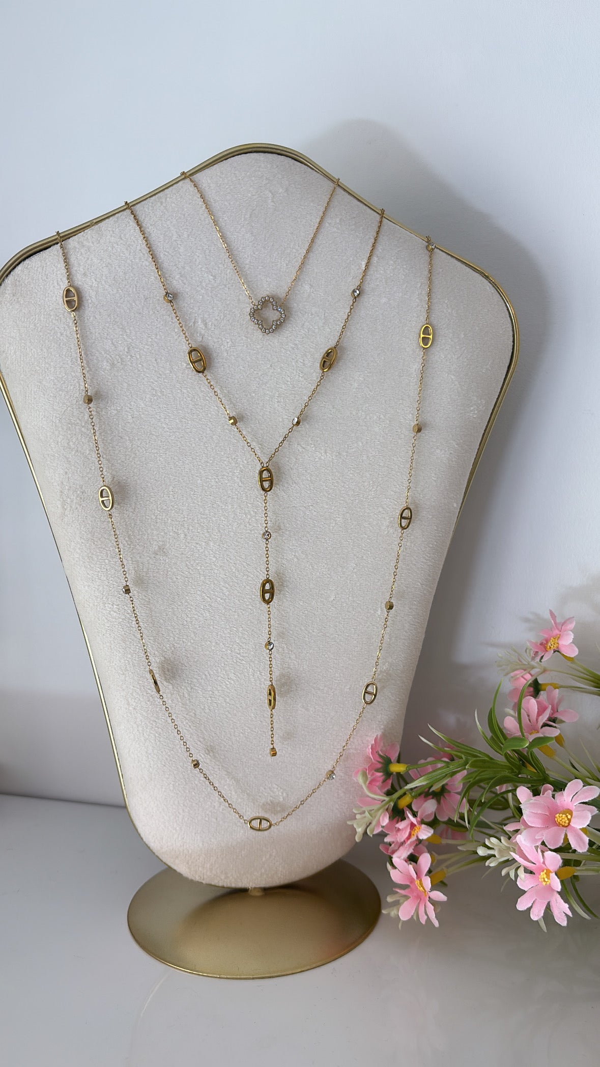 Nos compositions ✨