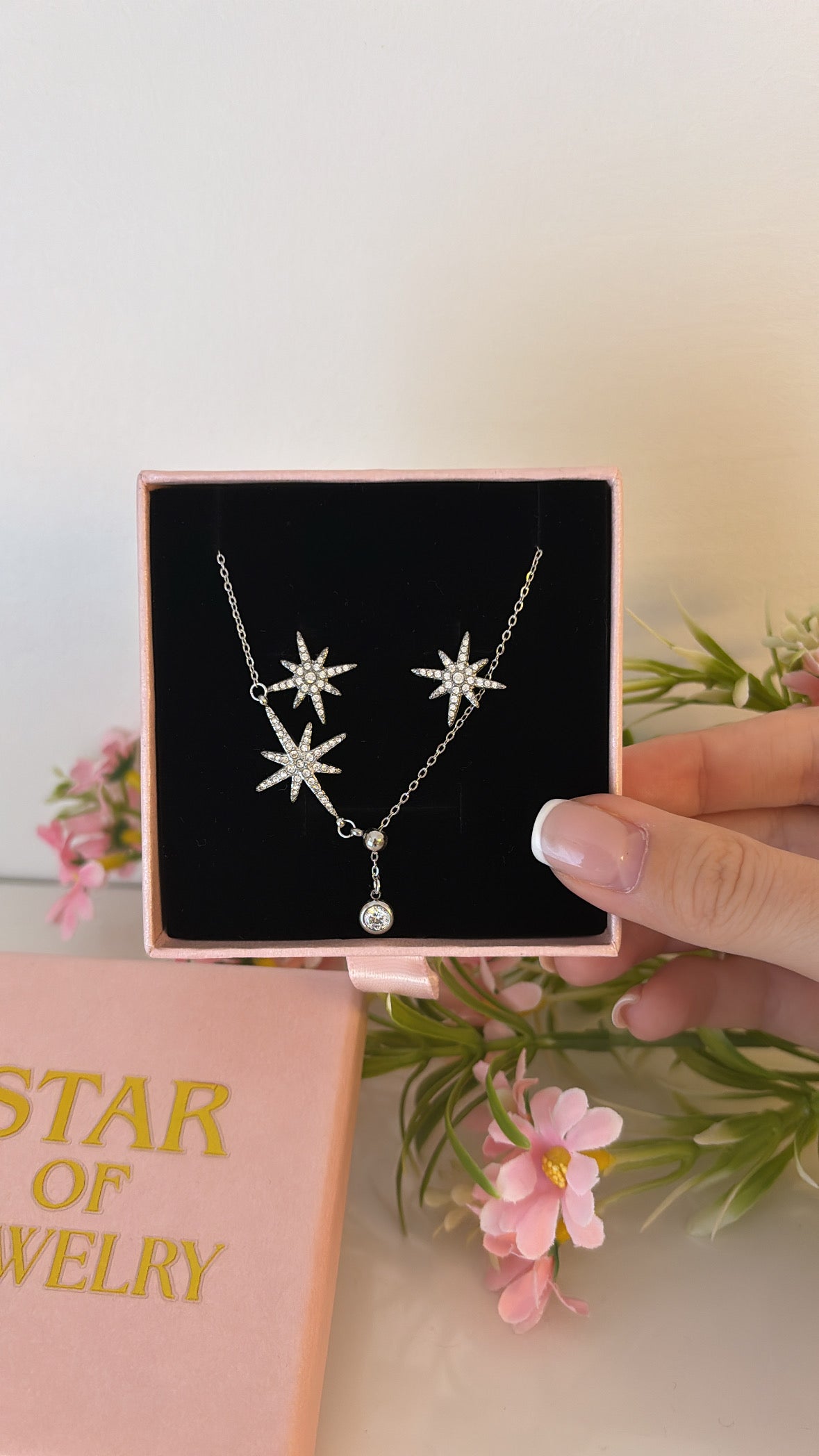 Coffret Shiny Silver