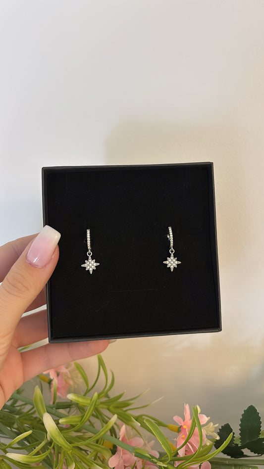 Boucles Shiny Silver